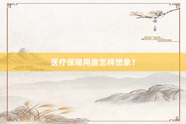 医疗保障用度怎样想象？