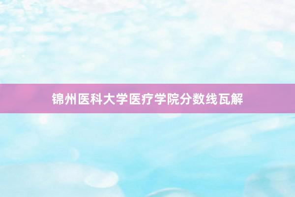 锦州医科大学医疗学院分数线瓦解