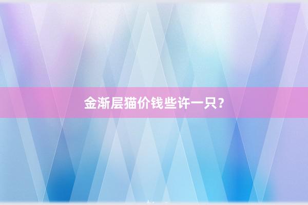 金渐层猫价钱些许一只？